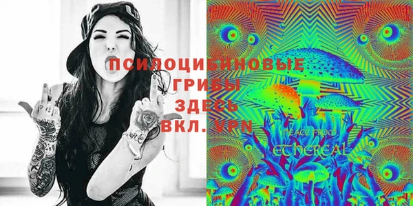 дмт Липки