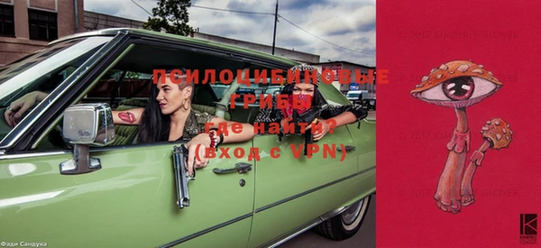 прущие крисы Новодвинск