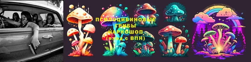 blacksprut маркетплейс  как найти закладки  Подпорожье  Псилоцибиновые грибы Magic Shrooms 